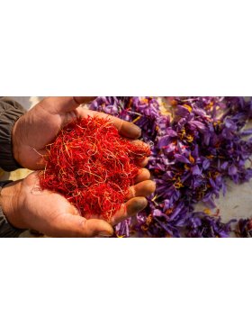 Safaron - Nhuỵ hoa nghệ tây Ấn Độ , India Kashmiri
