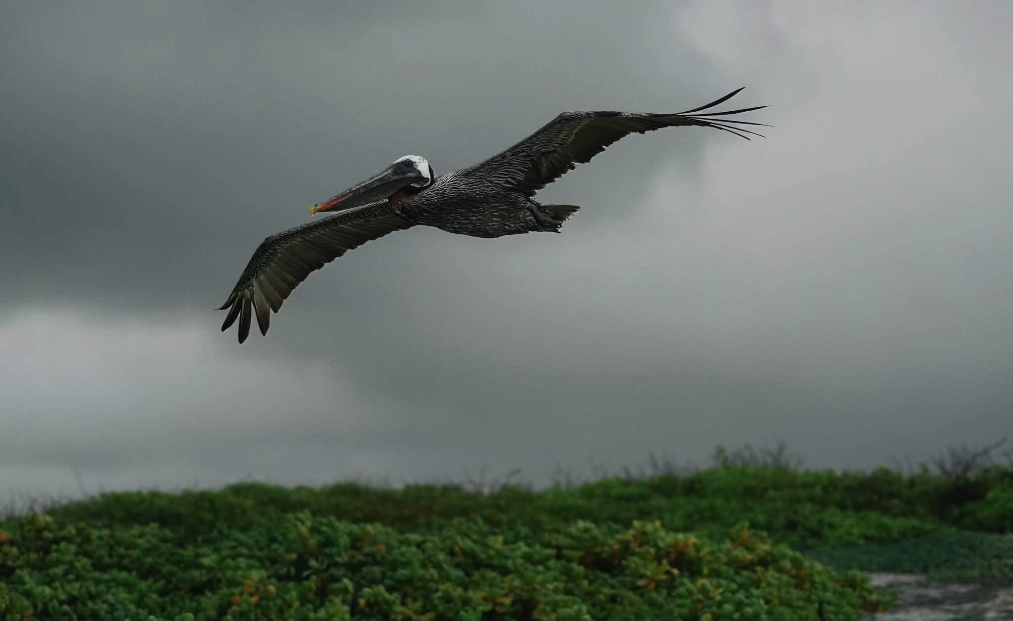 Ecuador